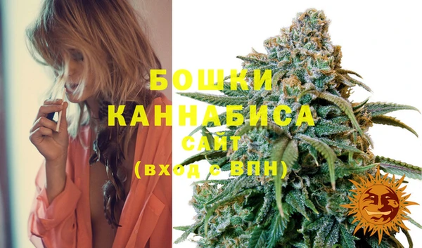 амф Корсаков