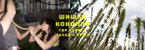 молекула духа Кодинск