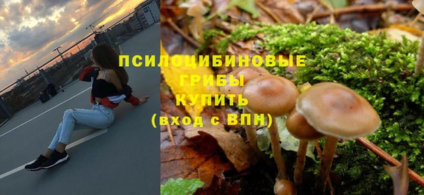 молекула духа Кодинск