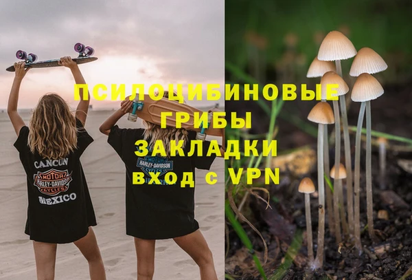 молекула духа Кодинск