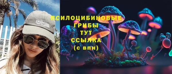 молекула духа Кодинск
