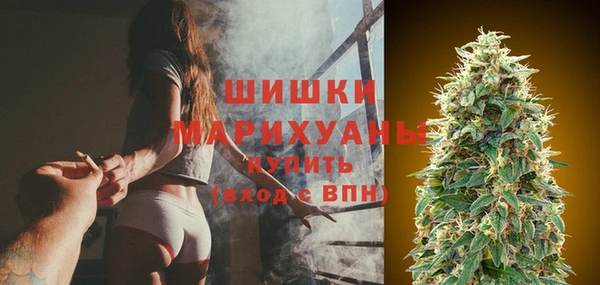 индика Тутаев