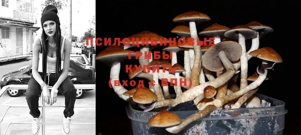 молекула духа Кодинск